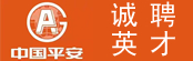 中国平安有限责任公司